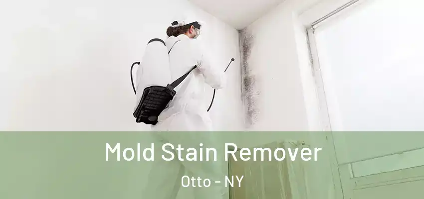  Mold Stain Remover Otto - NY