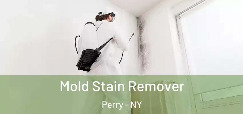  Mold Stain Remover Perry - NY