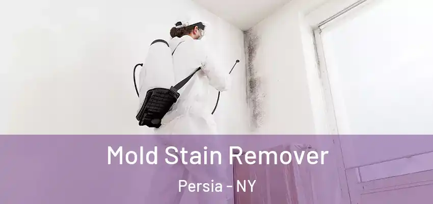  Mold Stain Remover Persia - NY