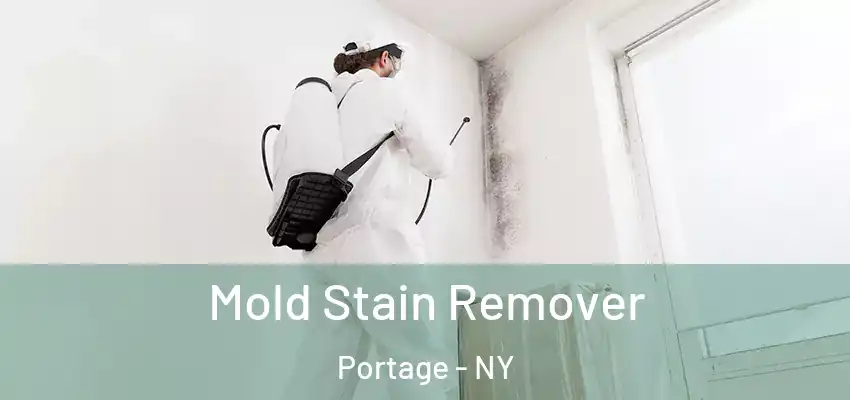  Mold Stain Remover Portage - NY