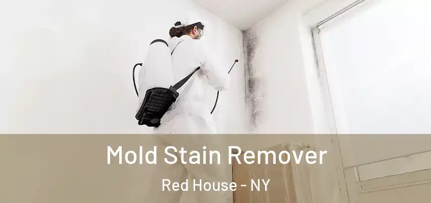  Mold Stain Remover Red House - NY