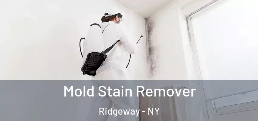 Mold Stain Remover Ridgeway - NY