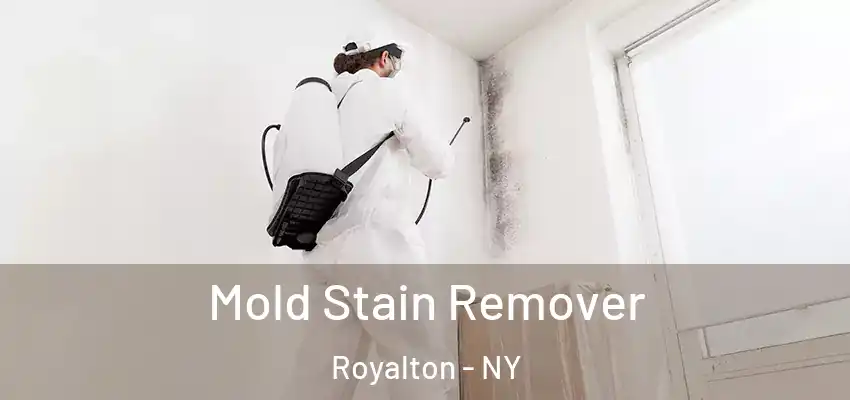 Mold Stain Remover Royalton - NY
