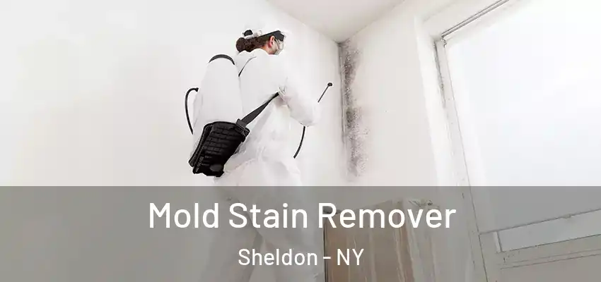  Mold Stain Remover Sheldon - NY