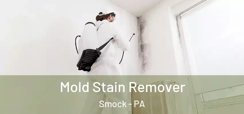  Mold Stain Remover Smock - PA