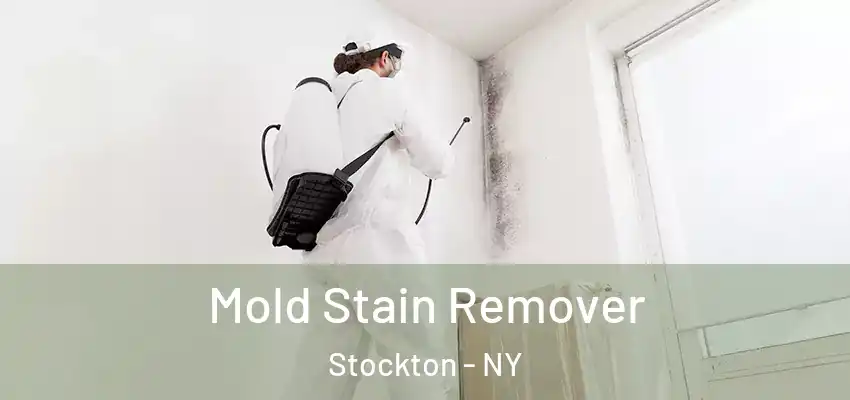  Mold Stain Remover Stockton - NY