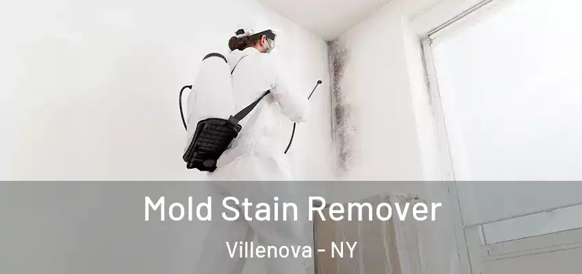  Mold Stain Remover Villenova - NY