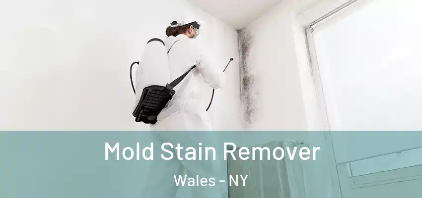  Mold Stain Remover Wales - NY