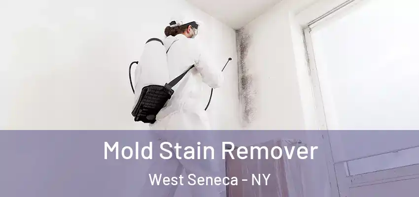  Mold Stain Remover West Seneca - NY