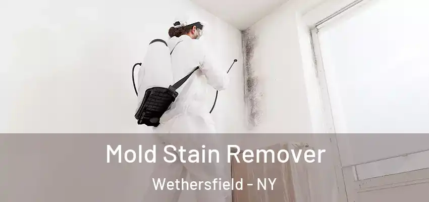  Mold Stain Remover Wethersfield - NY