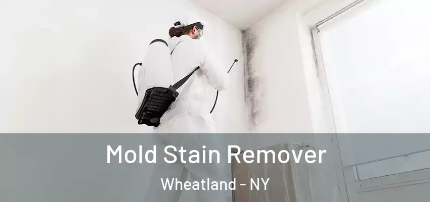  Mold Stain Remover Wheatland - NY