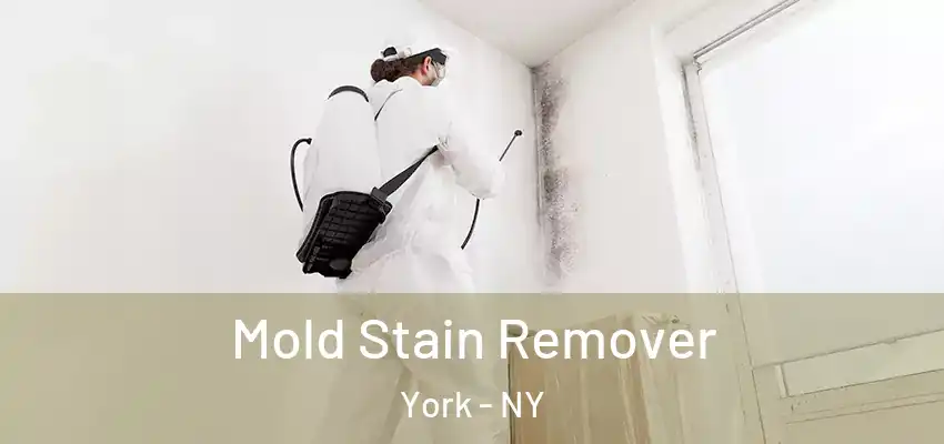  Mold Stain Remover York - NY