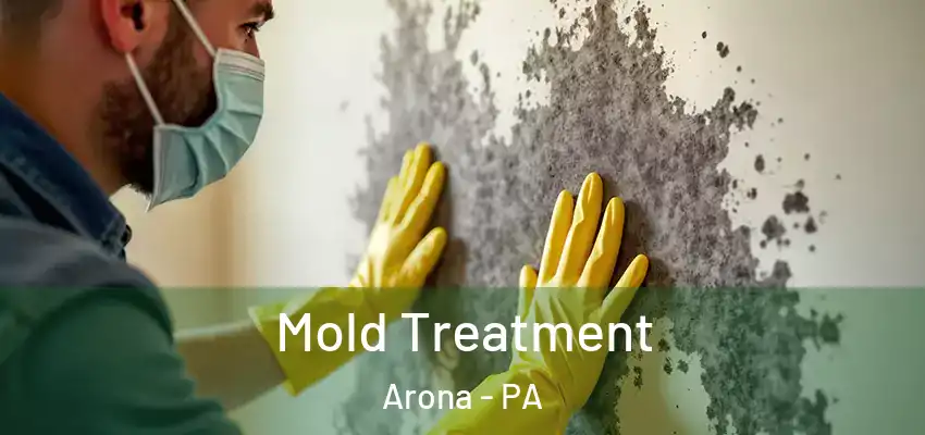  Mold Treatment Arona - PA