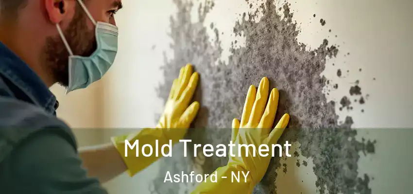 Mold Treatment Ashford - NY