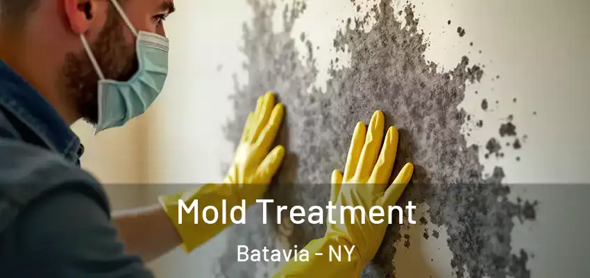  Mold Treatment Batavia - NY