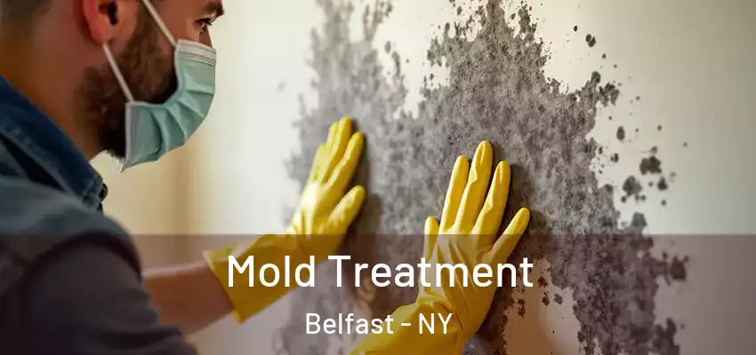 Mold Treatment Belfast - NY