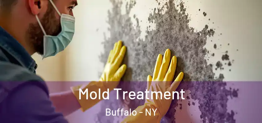  Mold Treatment Buffalo - NY
