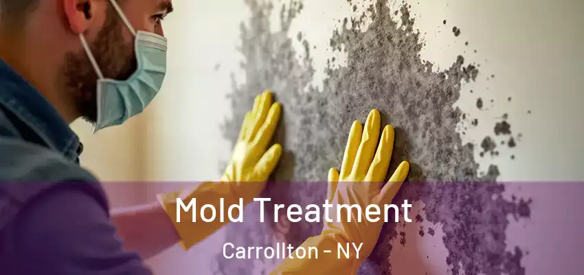  Mold Treatment Carrollton - NY