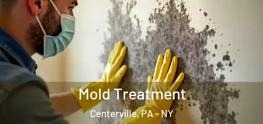  Mold Treatment Centerville, PA - NY