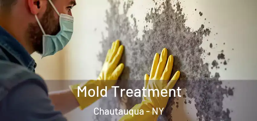 Mold Treatment Chautauqua - NY