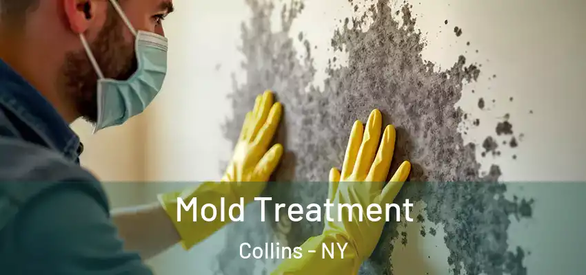 Mold Treatment Collins - NY