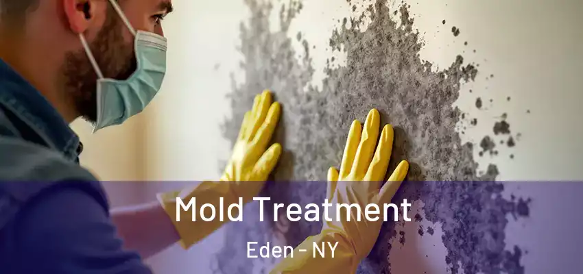  Mold Treatment Eden - NY