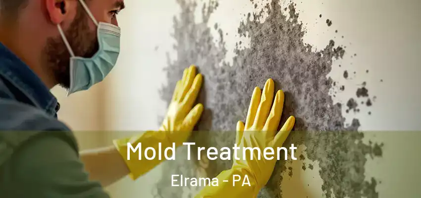  Mold Treatment Elrama - PA