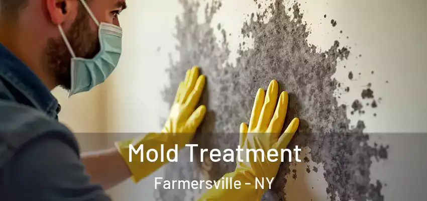 Mold Treatment Farmersville - NY