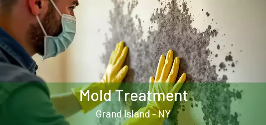 Mold Treatment Grand Island - NY
