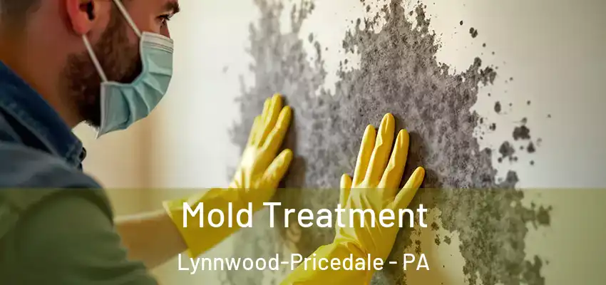 Mold Treatment Lynnwood-Pricedale - PA