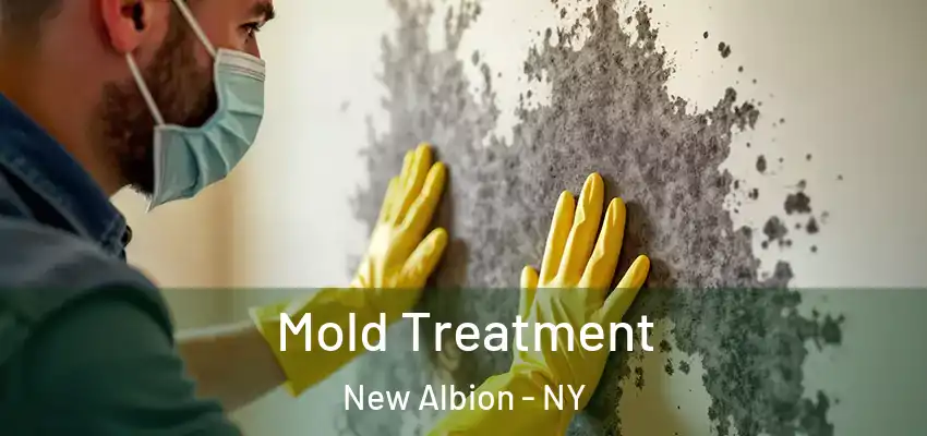  Mold Treatment New Albion - NY