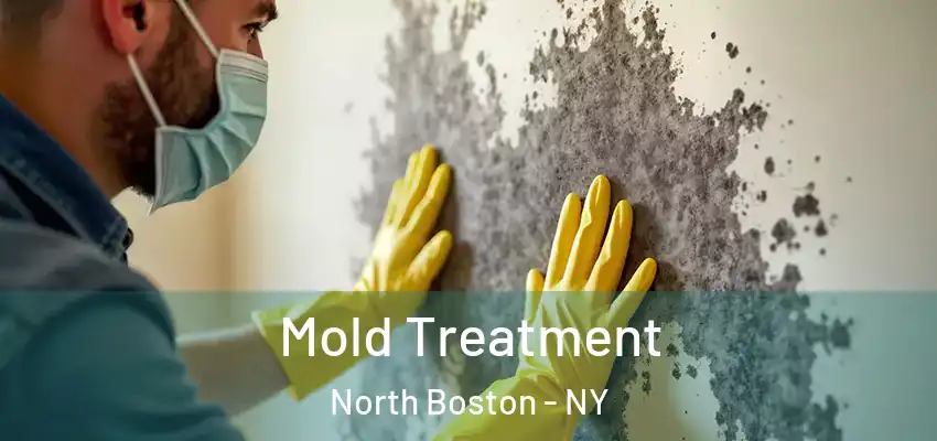  Mold Treatment North Boston - NY
