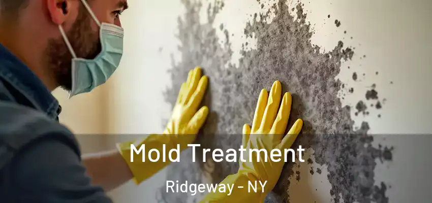  Mold Treatment Ridgeway - NY