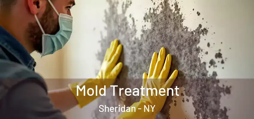  Mold Treatment Sheridan - NY