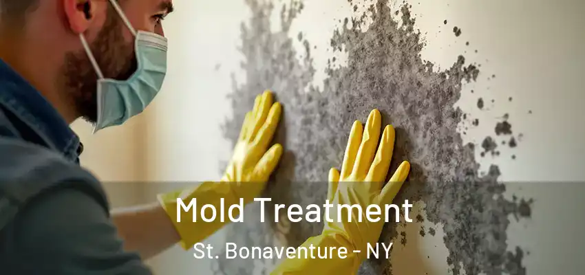  Mold Treatment St. Bonaventure - NY