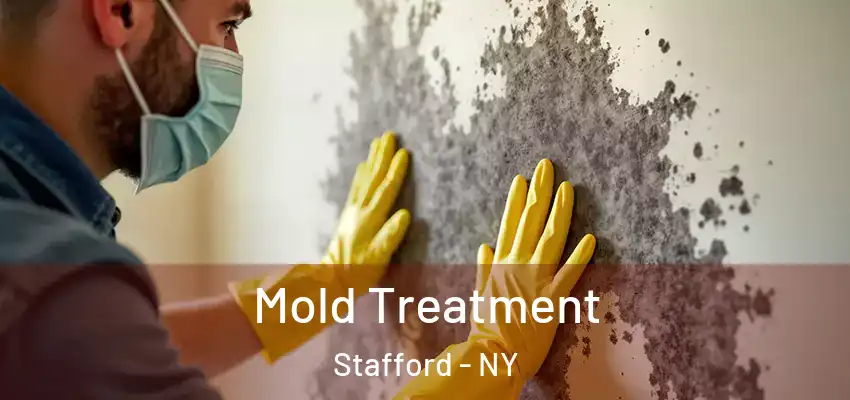  Mold Treatment Stafford - NY