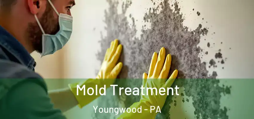  Mold Treatment Youngwood - PA