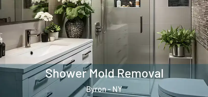  Shower Mold Removal Byron - NY