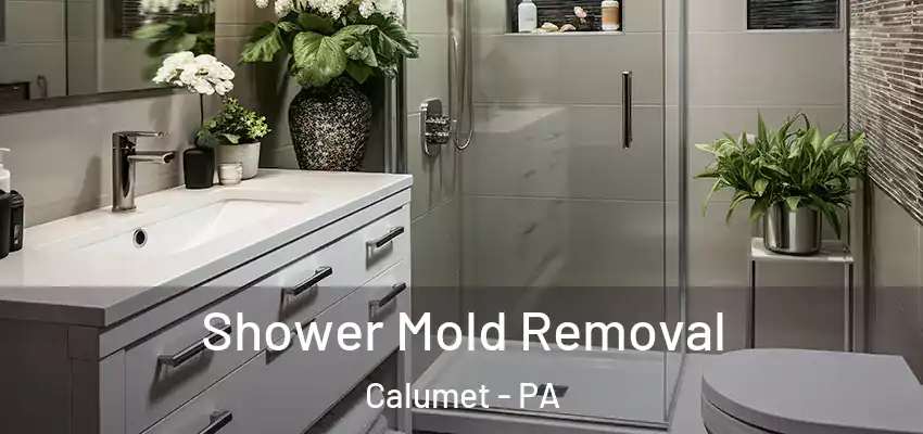  Shower Mold Removal Calumet - PA