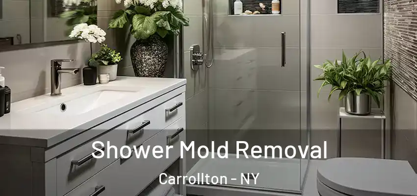  Shower Mold Removal Carrollton - NY