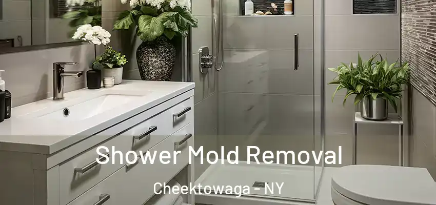  Shower Mold Removal Cheektowaga - NY