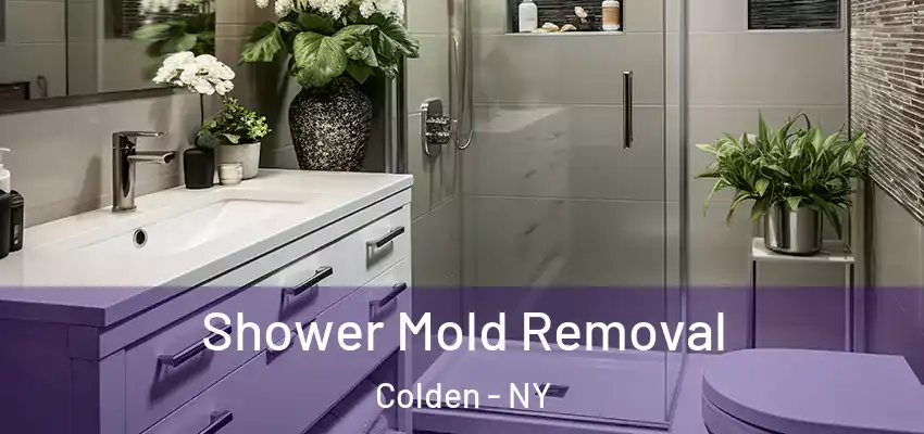  Shower Mold Removal Colden - NY