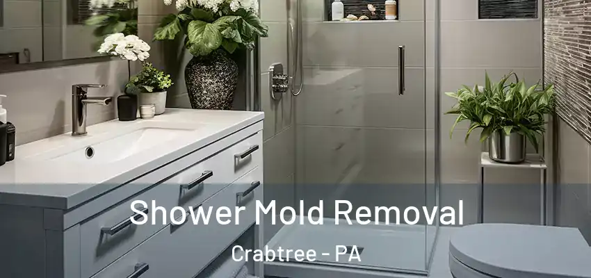 Shower Mold Removal Crabtree - PA