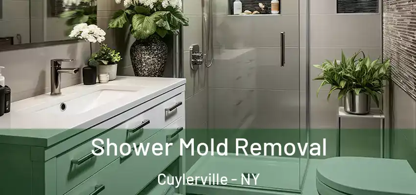  Shower Mold Removal Cuylerville - NY