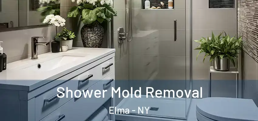  Shower Mold Removal Elma - NY
