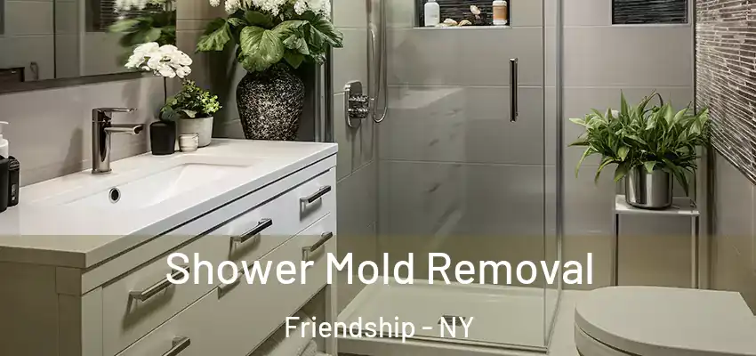  Shower Mold Removal Friendship - NY