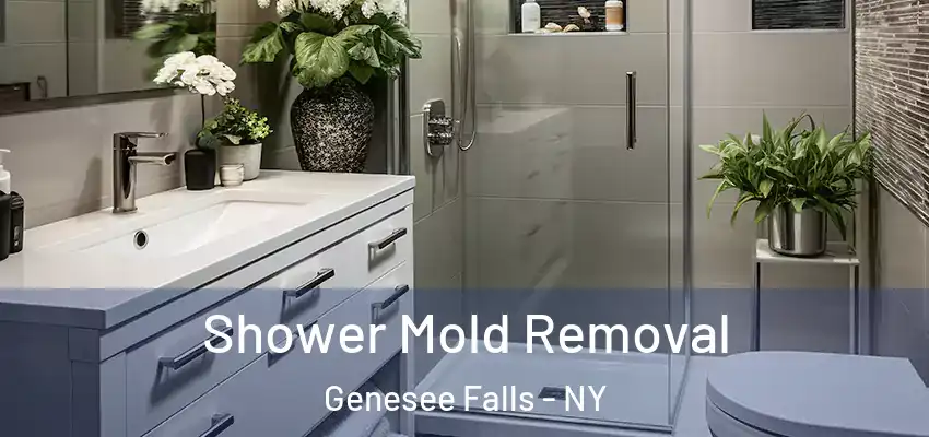  Shower Mold Removal Genesee Falls - NY