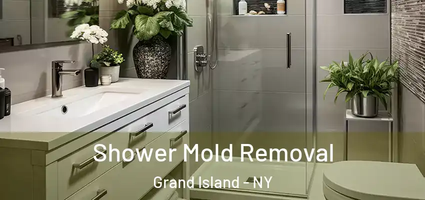  Shower Mold Removal Grand Island - NY
