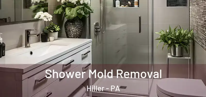  Shower Mold Removal Hiller - PA