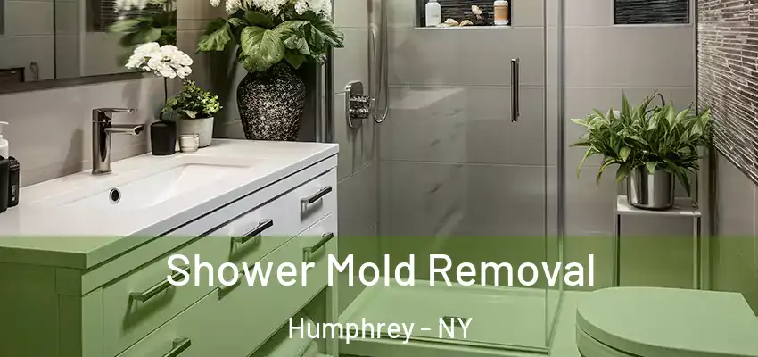  Shower Mold Removal Humphrey - NY